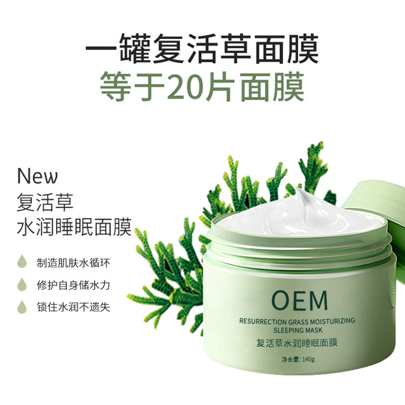 梦飞诗_复活草睡眠面膜OEM